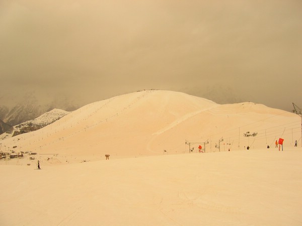 IMG_1795.JPG